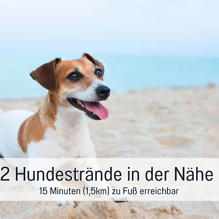 公寓 Edel&liebe Neubau Mit Fahrstuhl, Parkplatz, Balkon, W-lan, Ruhige Lage, Einkaufsmoeglichkeiten 500m Entfernt *