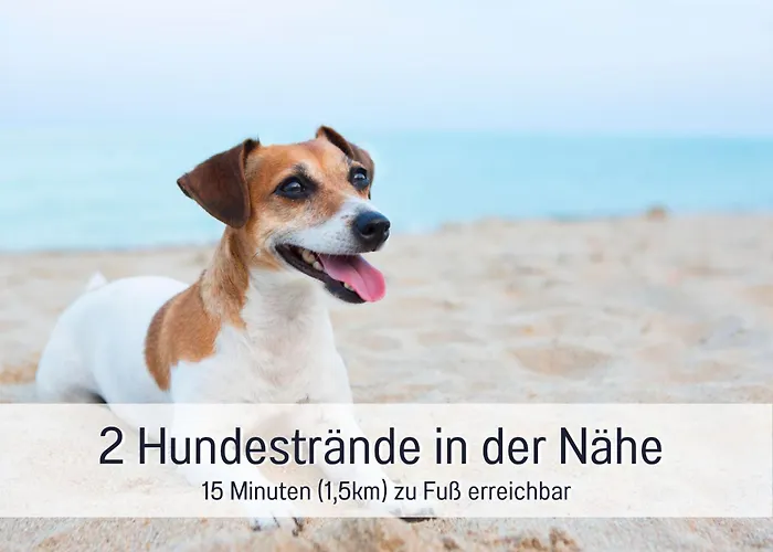 Апартаменты Edel&liebe Neubau Mit Fahrstuhl, Parkplatz, Balkon, W-lan, Ruhige Lage, Einkaufmoeglichkeiten 500m Entfernt *